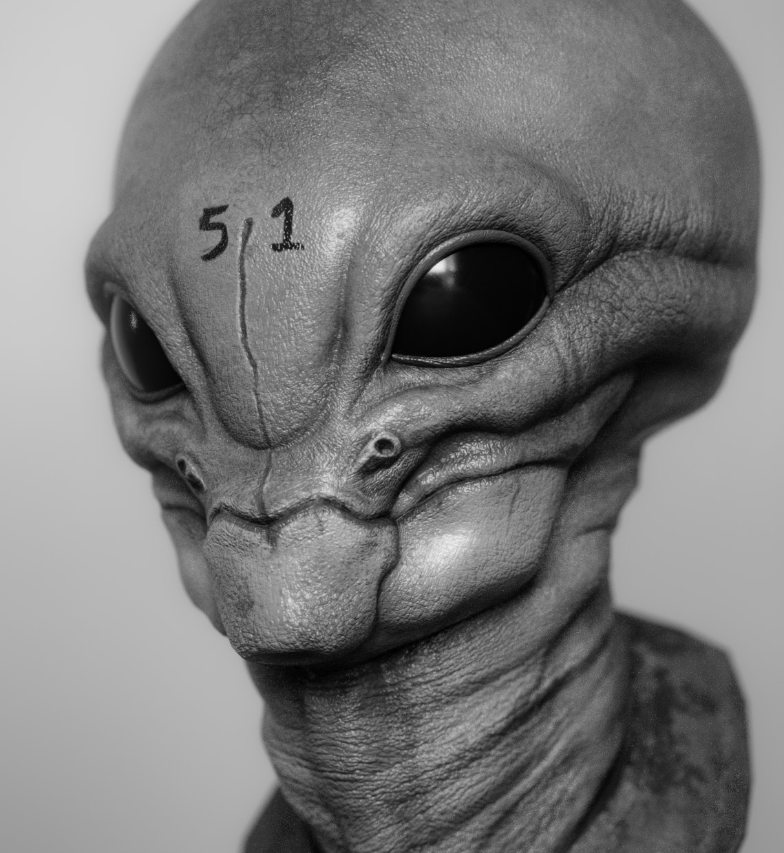 closeup2.jpg