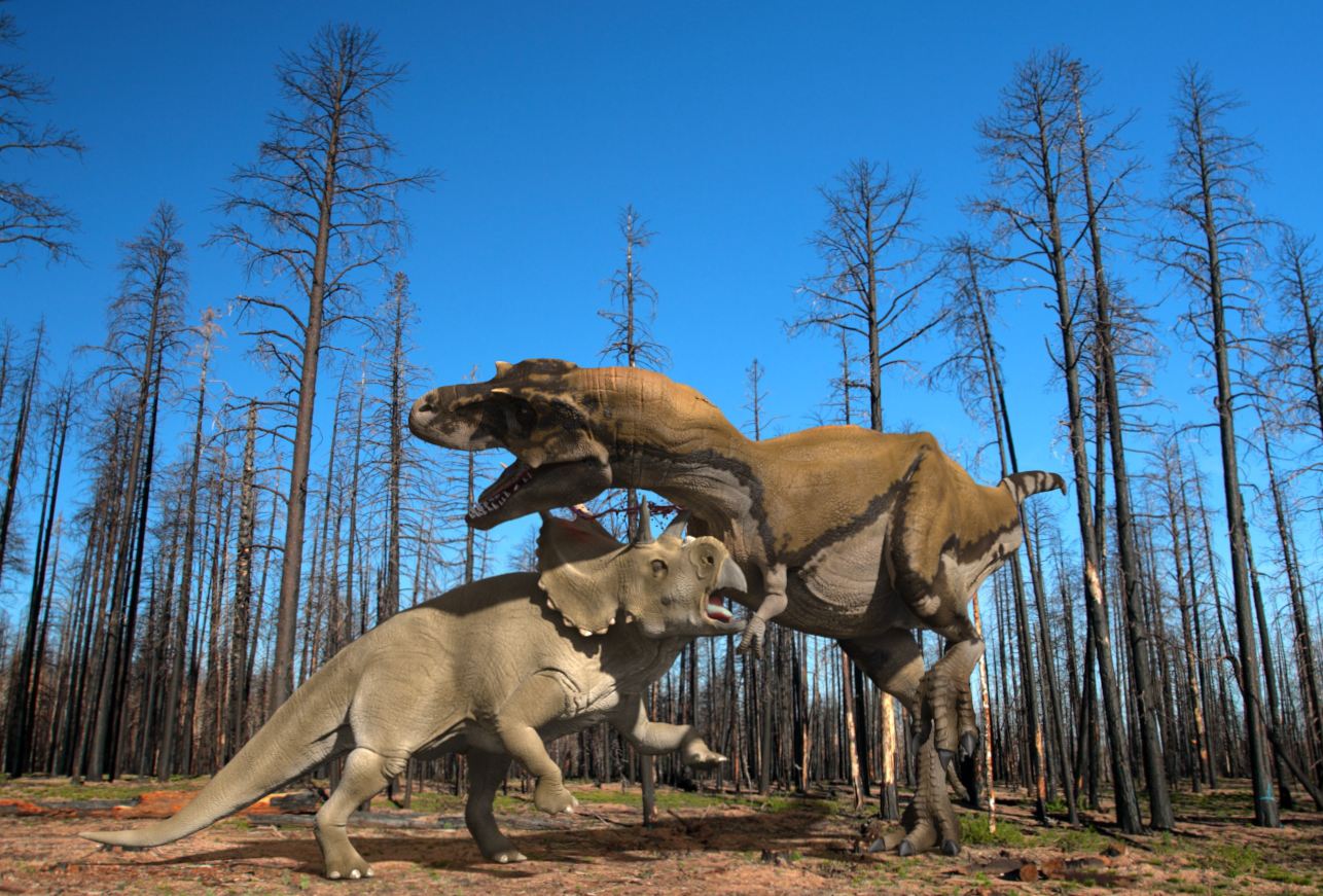 Capture dinos.JPG