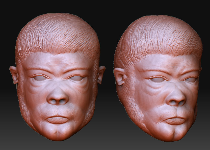 cat_head_sculpt2.jpg