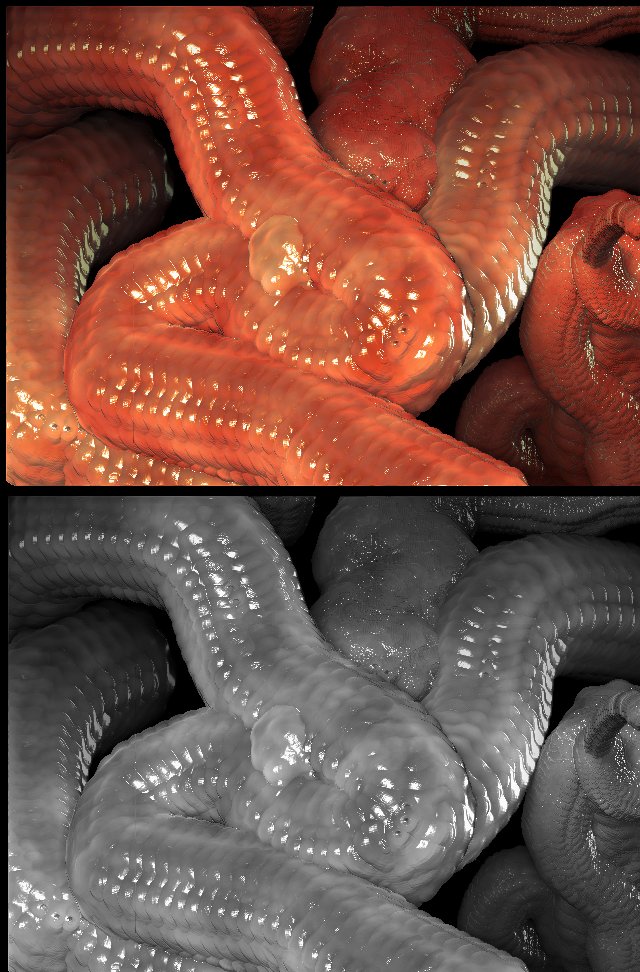 wormyEntrailsComposite1j.jpg