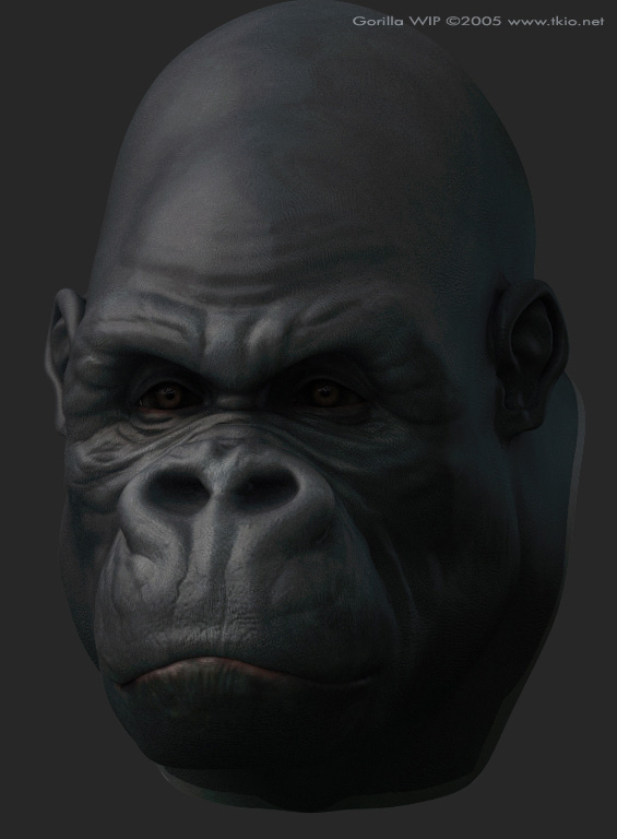 Gorilla_TextTest_001c.jpg