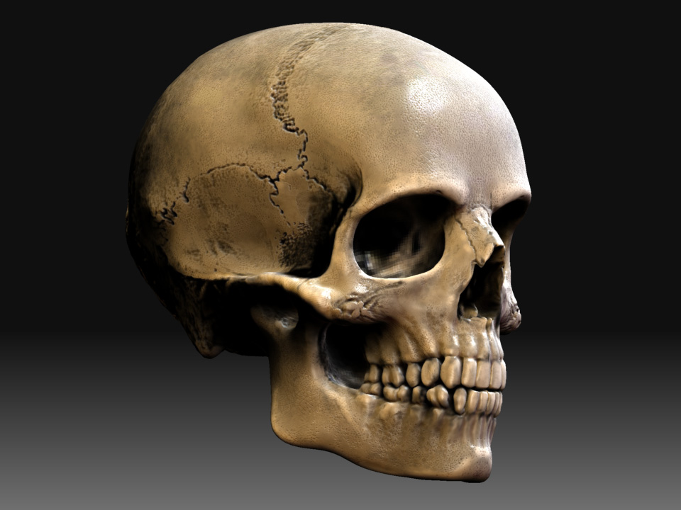ZBSkull.jpg