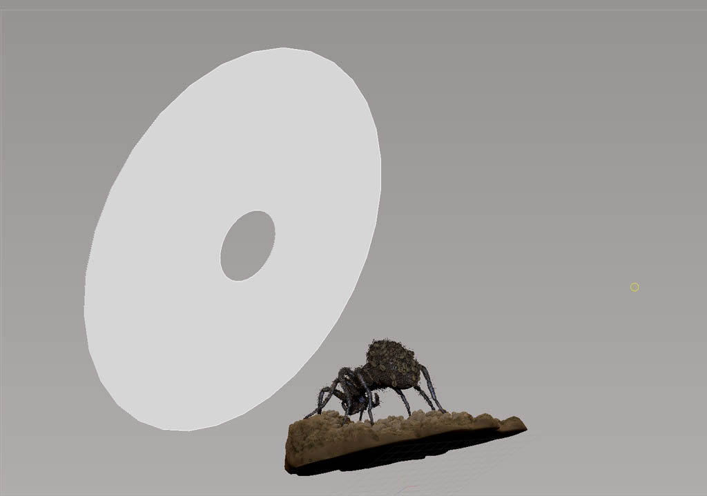 wolfSpider_screenGrab03.jpg