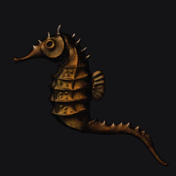 Seahorse_jan.jpg