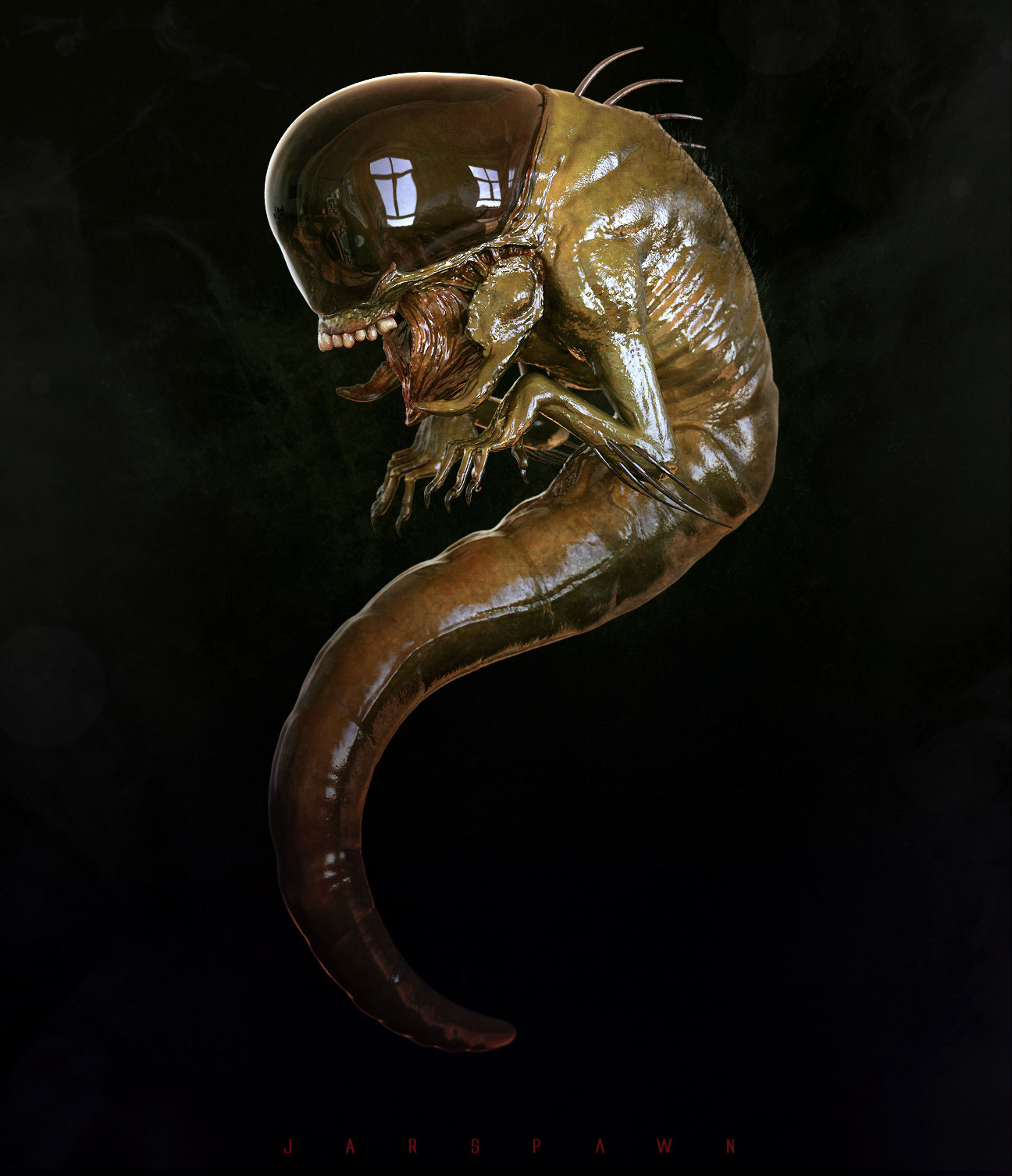 maarten-verhoeven-maggot-009-free.jpg