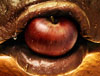 ZBC_THUMB2.jpg
