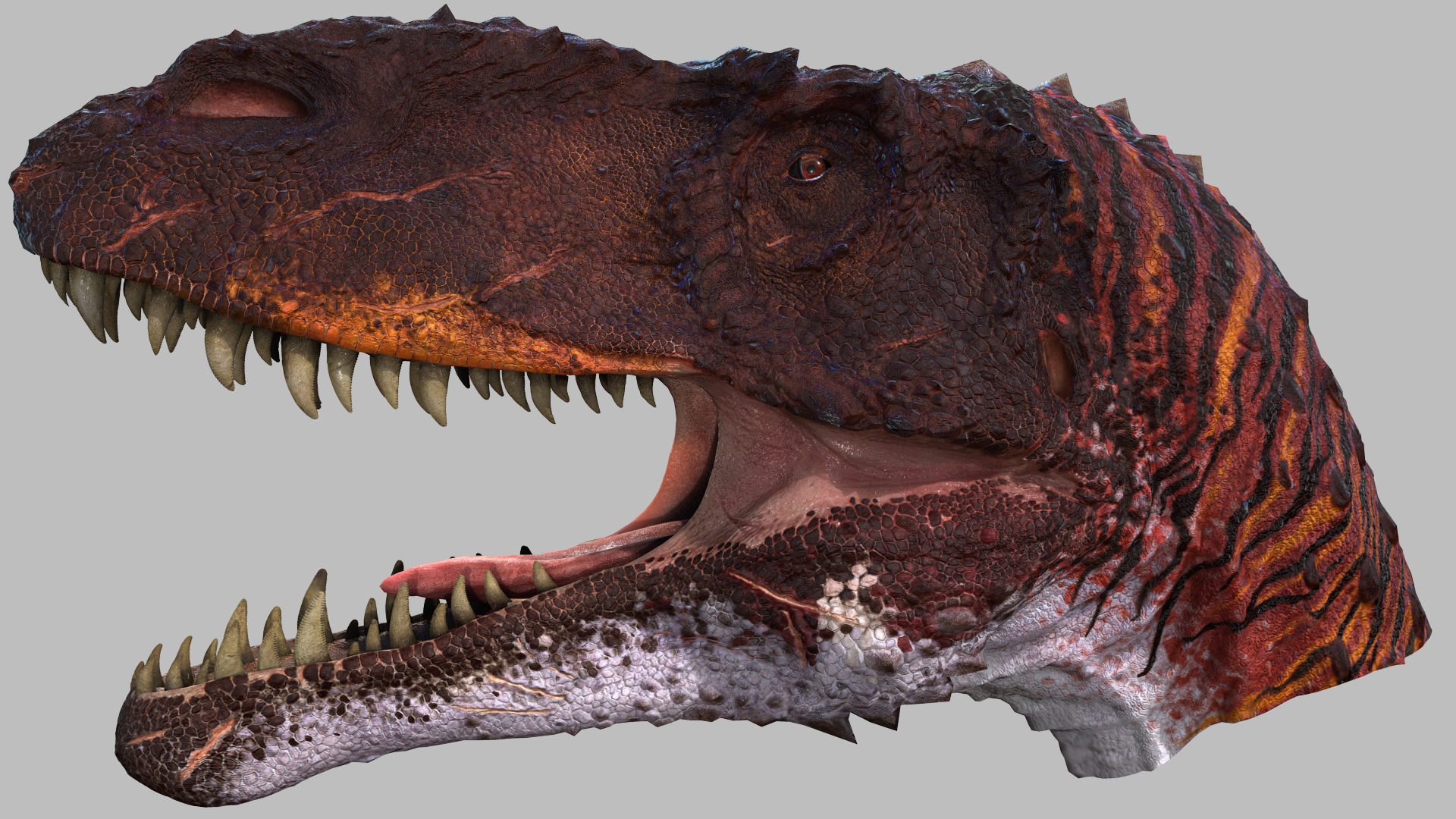 Torovsuaurs_big.jpg