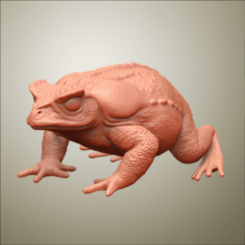Frog2.jpg