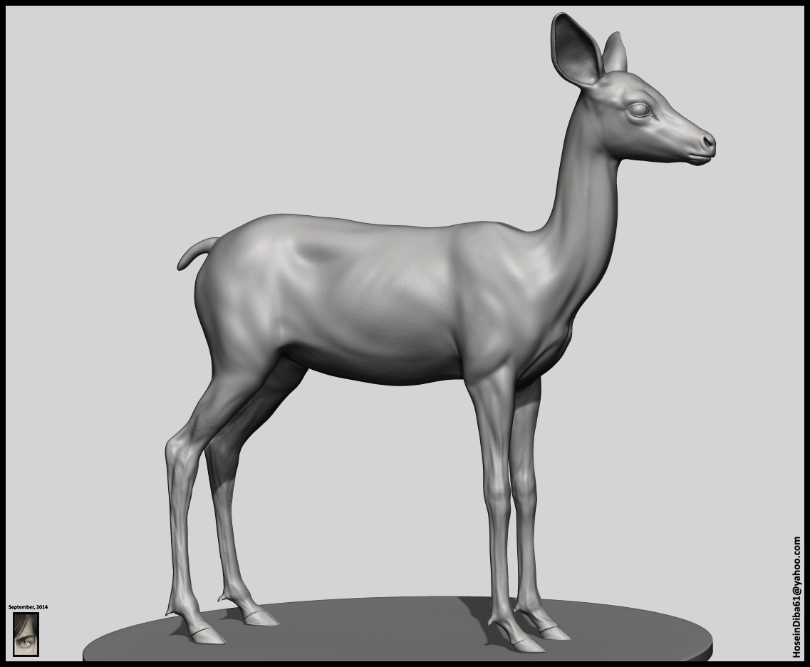Fawn_Deer_11.jpg