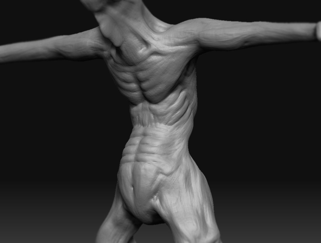 wip_torso_4.jpg