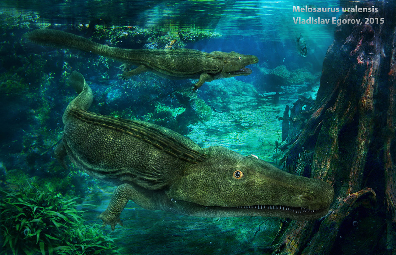 Melosaurus uralensis.jpg