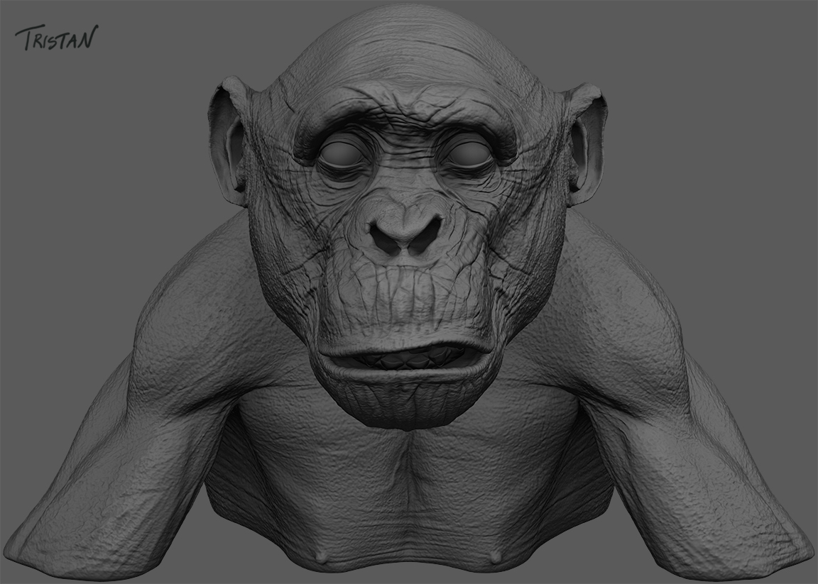 Monkey_WIP_V2_03.jpg