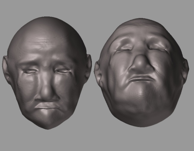 dehead.jpg
