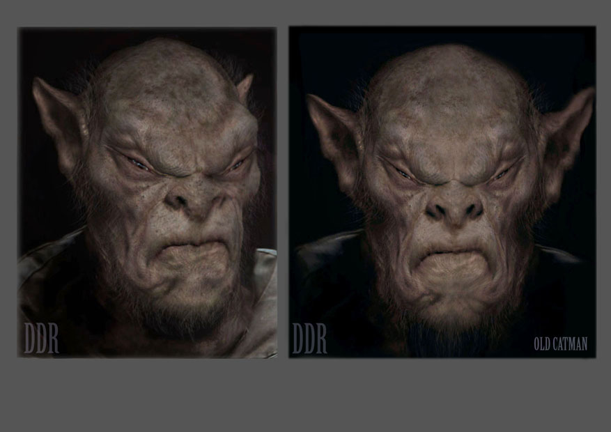 final oldcatman copy.jpg