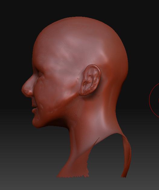 head2_side.JPG