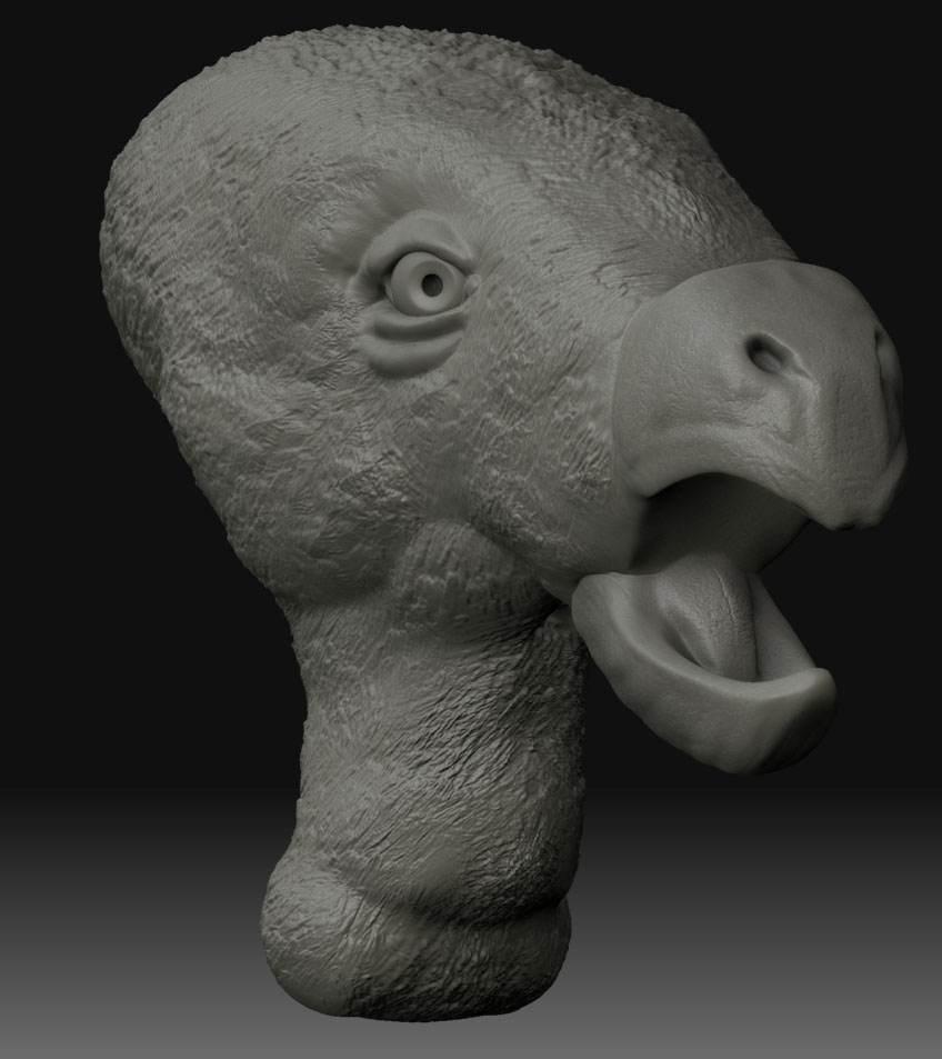 Vulture.jpg