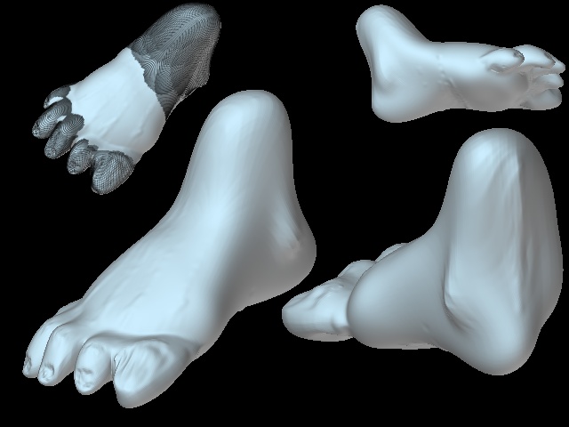 Feet.jpg