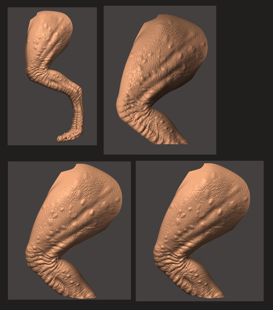 GORGOSAURUS_54