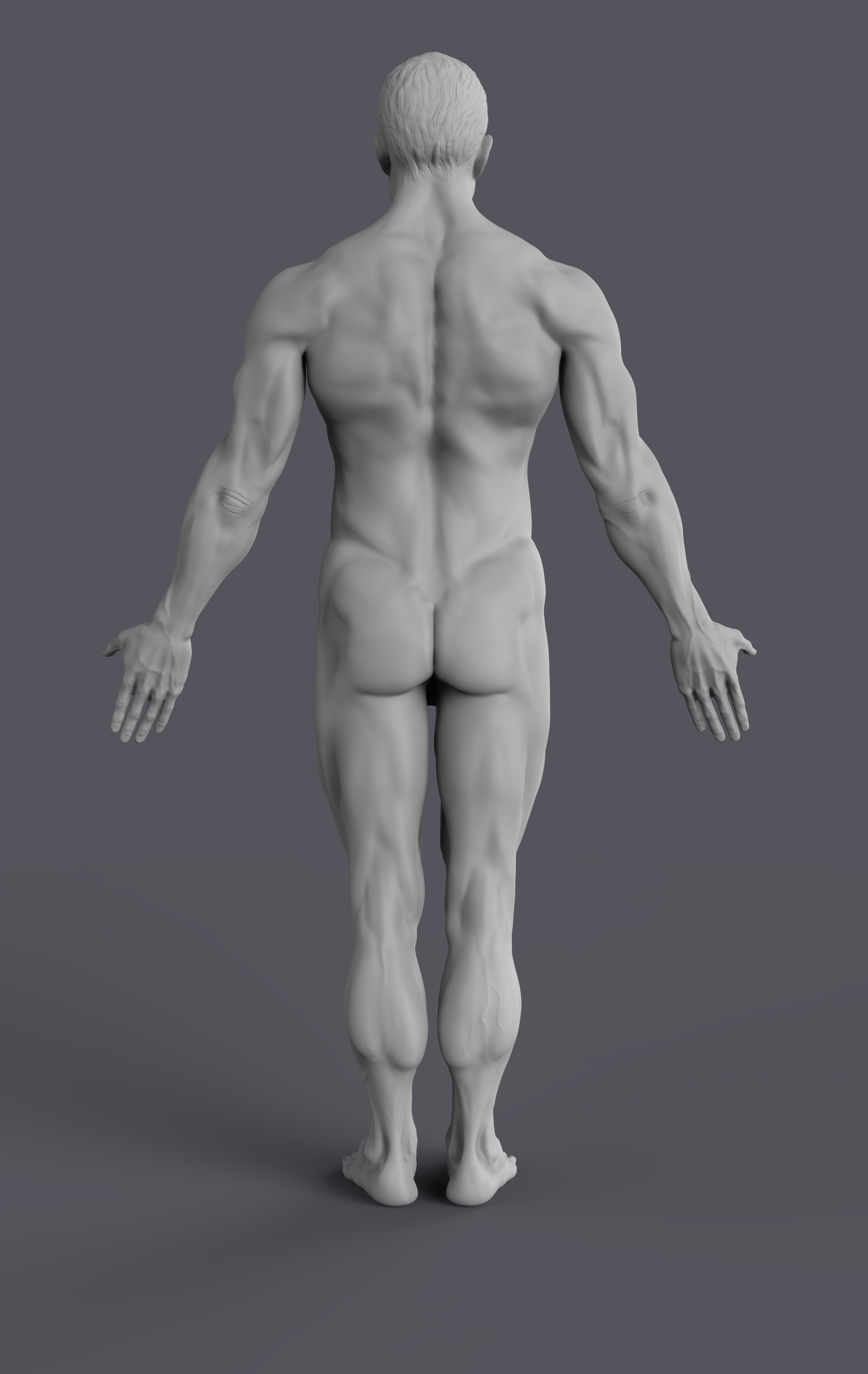 Male_Back.jpg