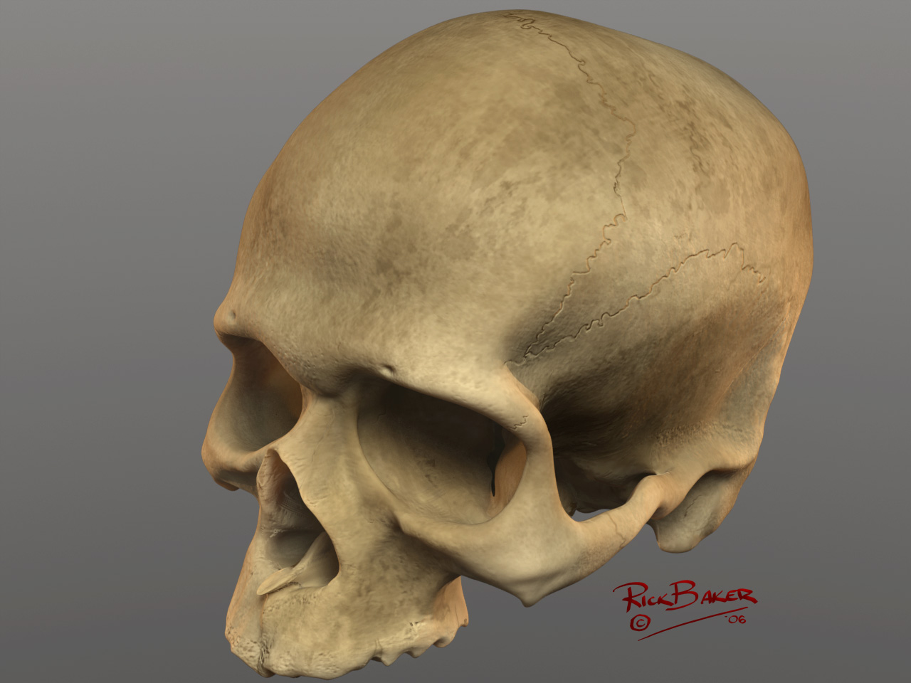 bigl5skull.jpg