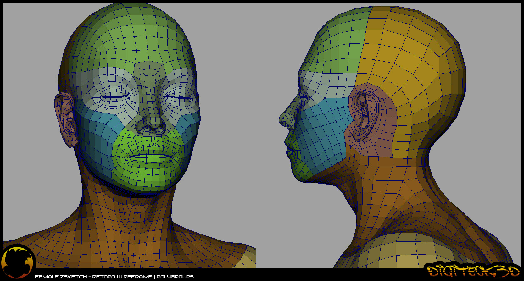 femaleStudy_WireRetopo00.jpg