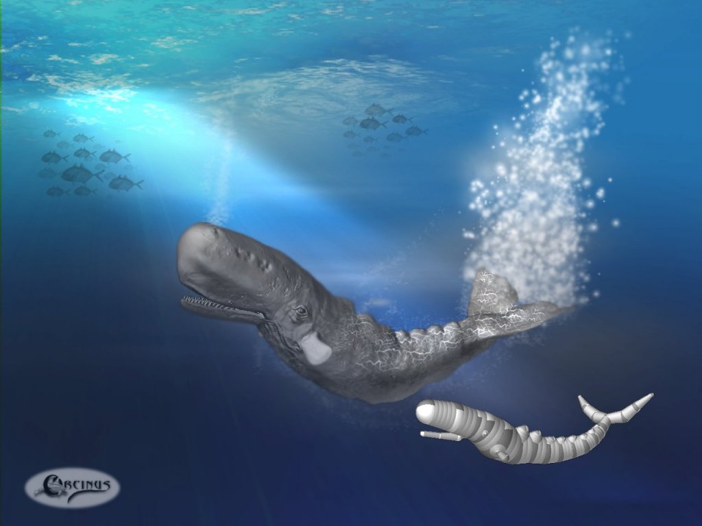 SpermWhale.jpg