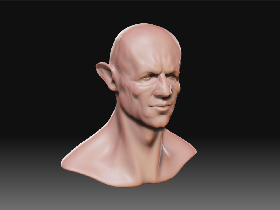 head11.jpg