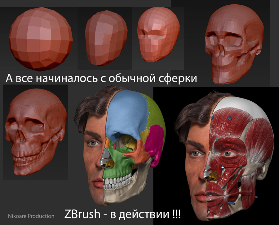 anat0000-0001a.JPG