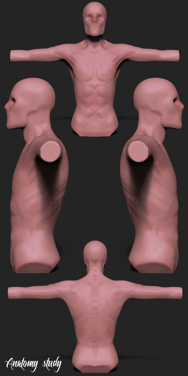 lunchStudy all.jpg