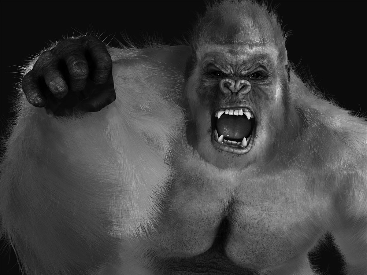 kong.jpg
