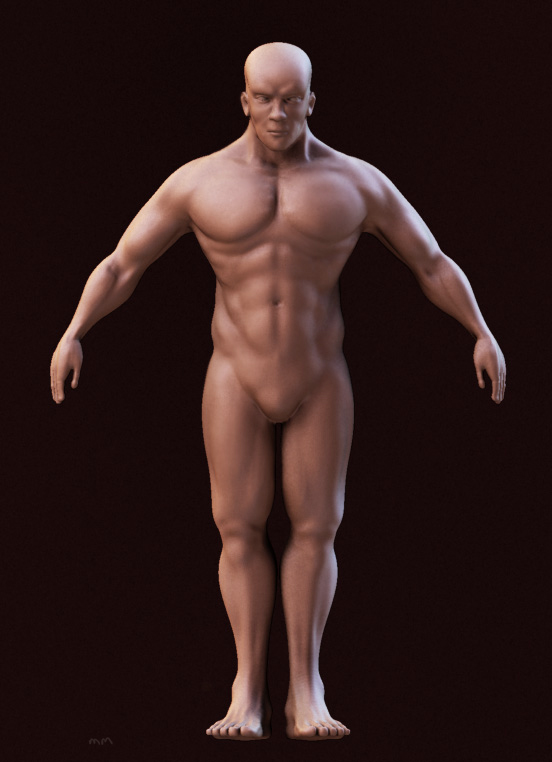 male_rendered1.jpg