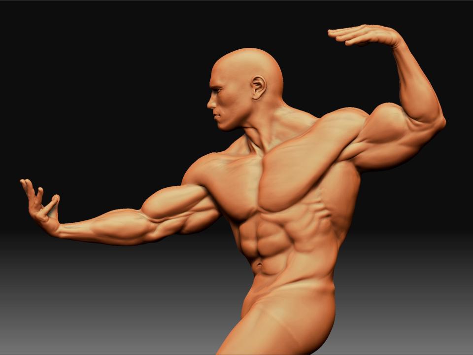 Arnold1.jpg