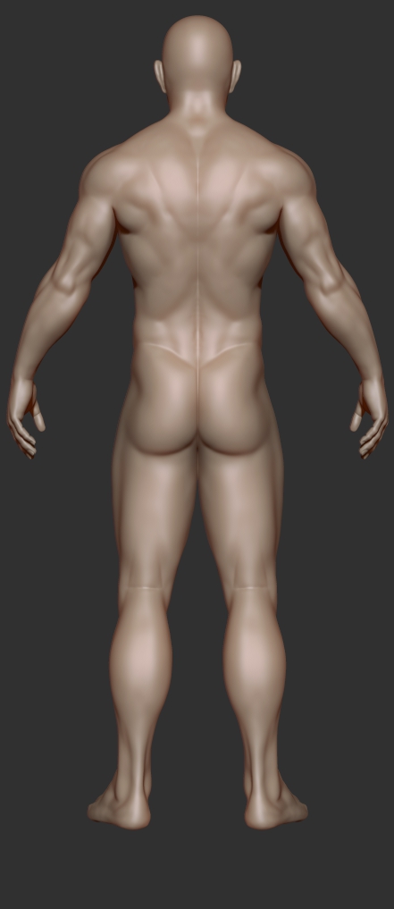 athleticman_back.jpg