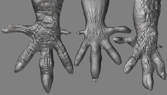 hands.jpg