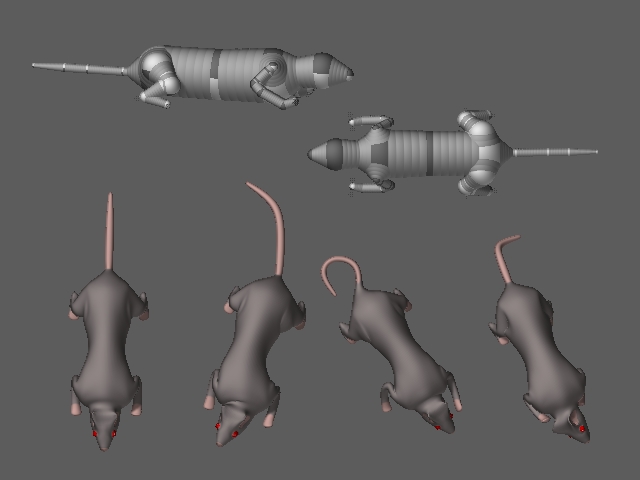 rats.jpg