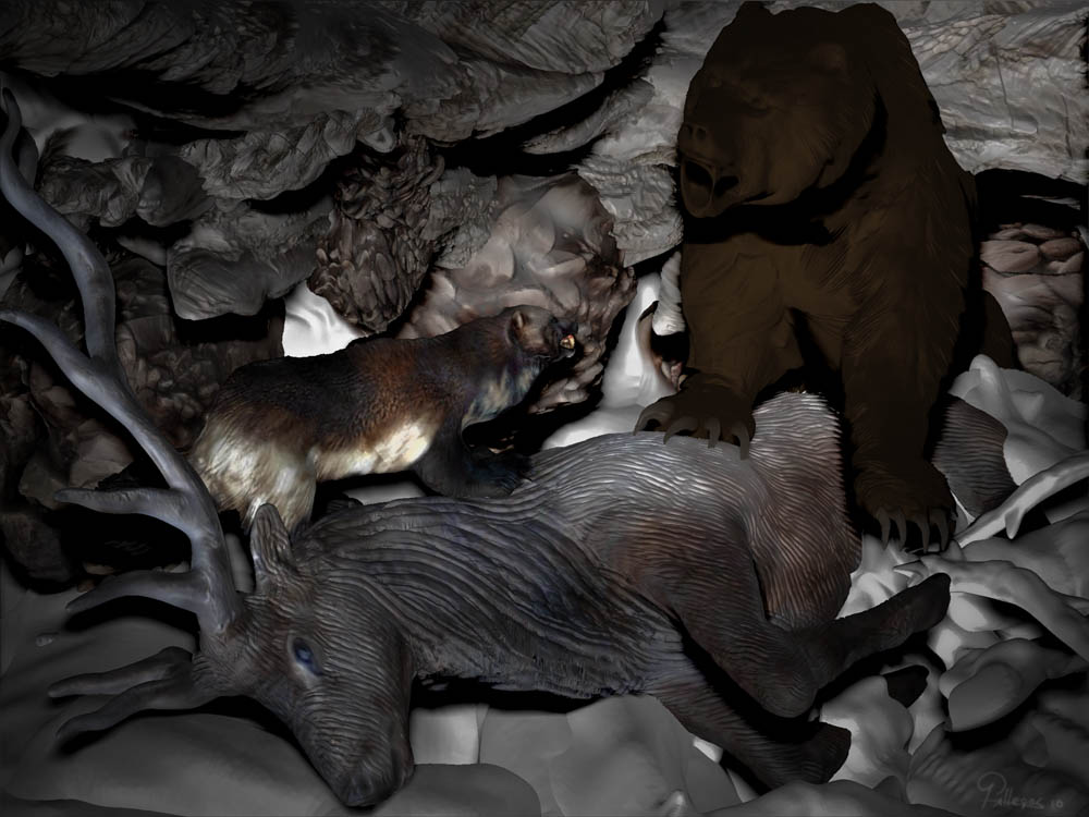 ELK FUR 36.jpg