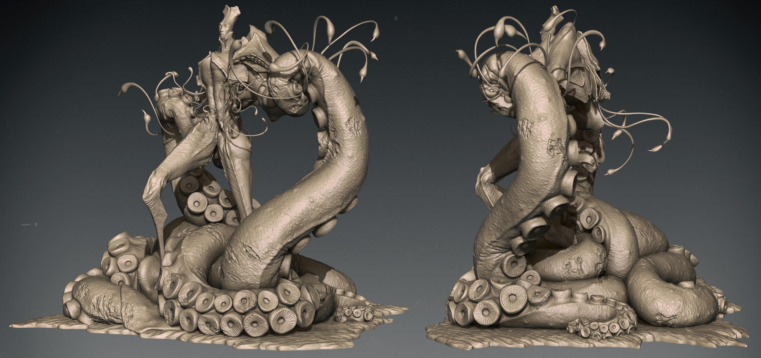 Squid02.jpg