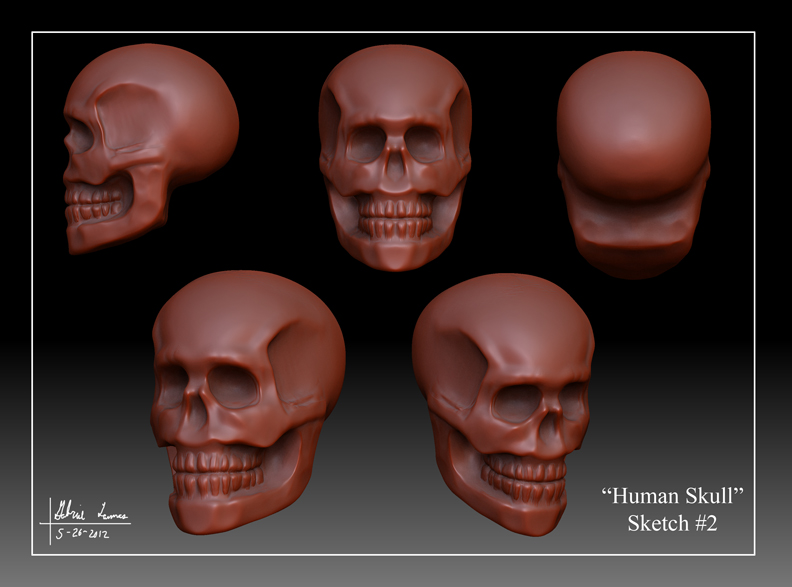 Human_Skull_Sketch_02.jpg