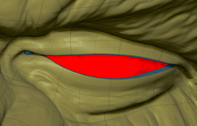 eyelid.jpg