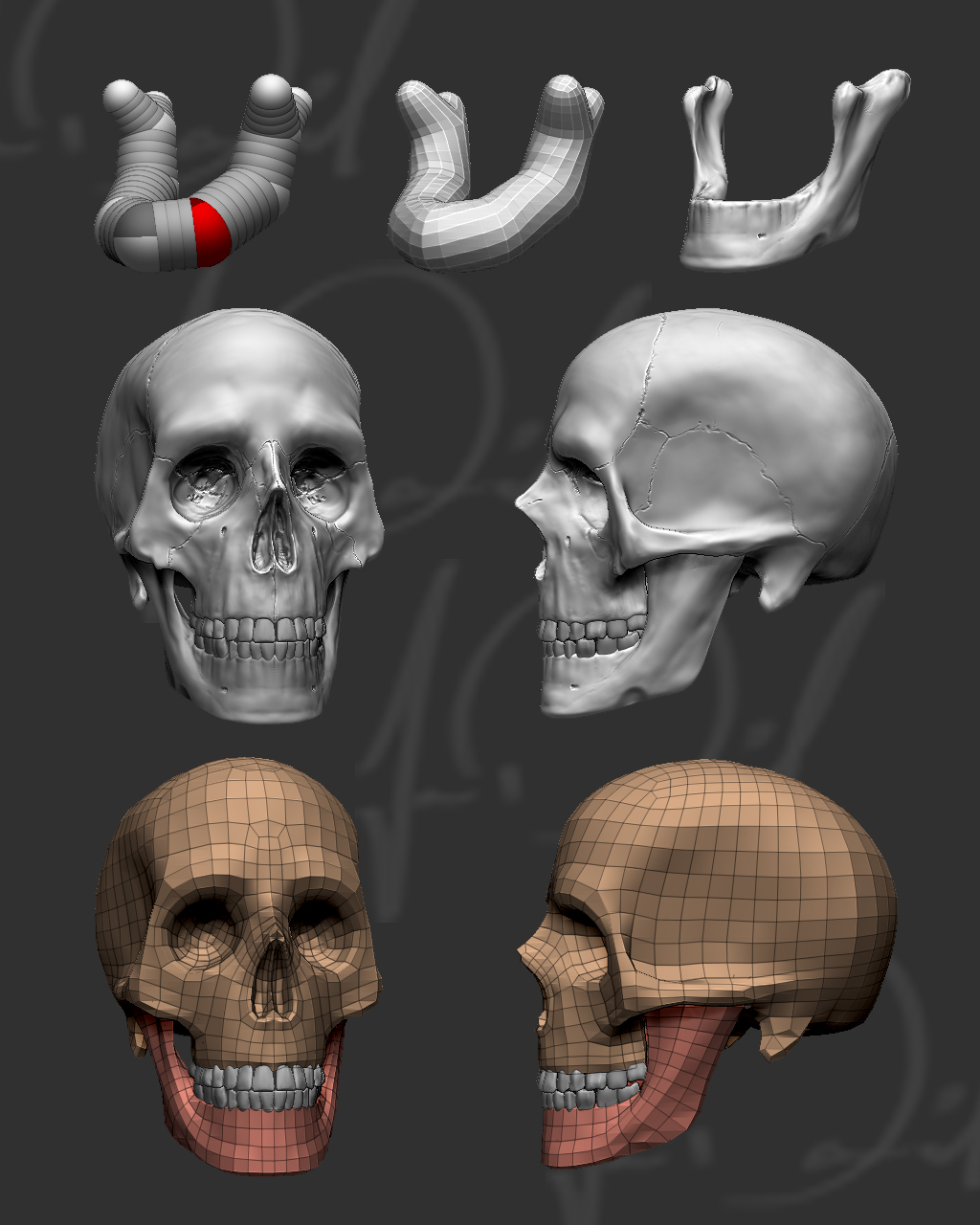 skull_4_free_2.jpg