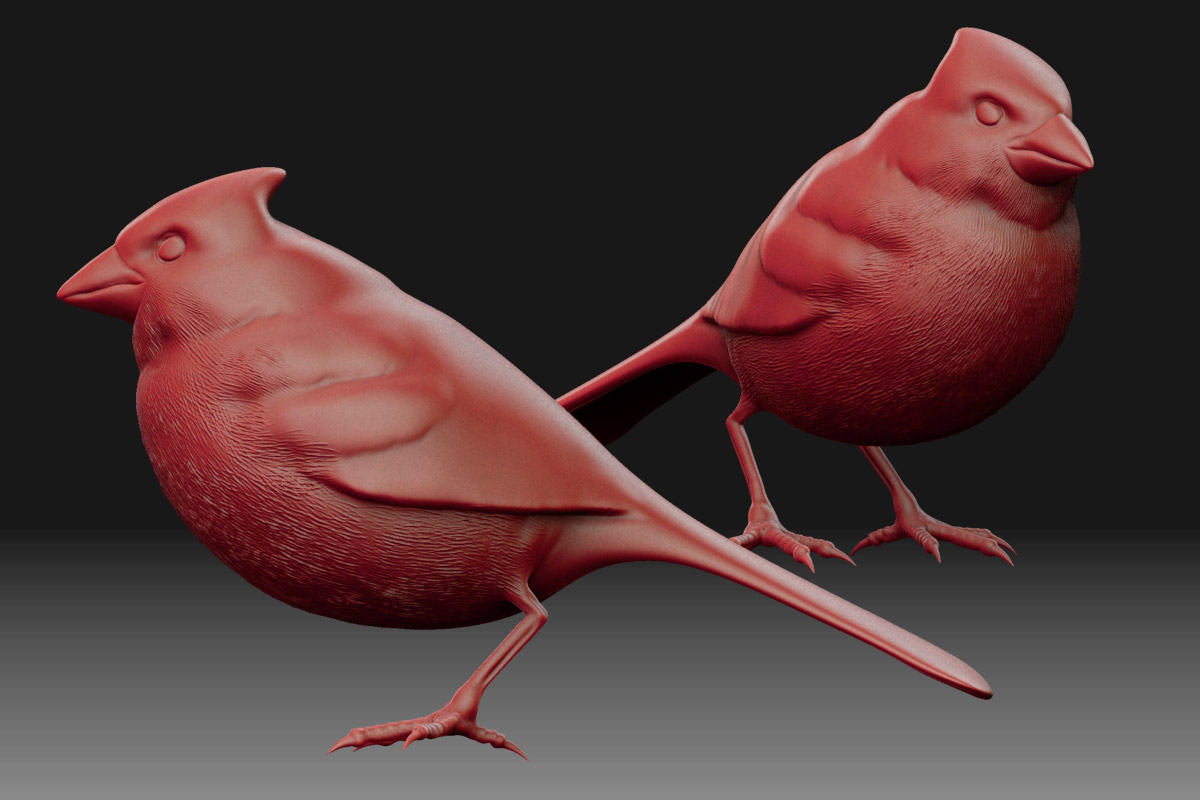 Cardinal1.jpg