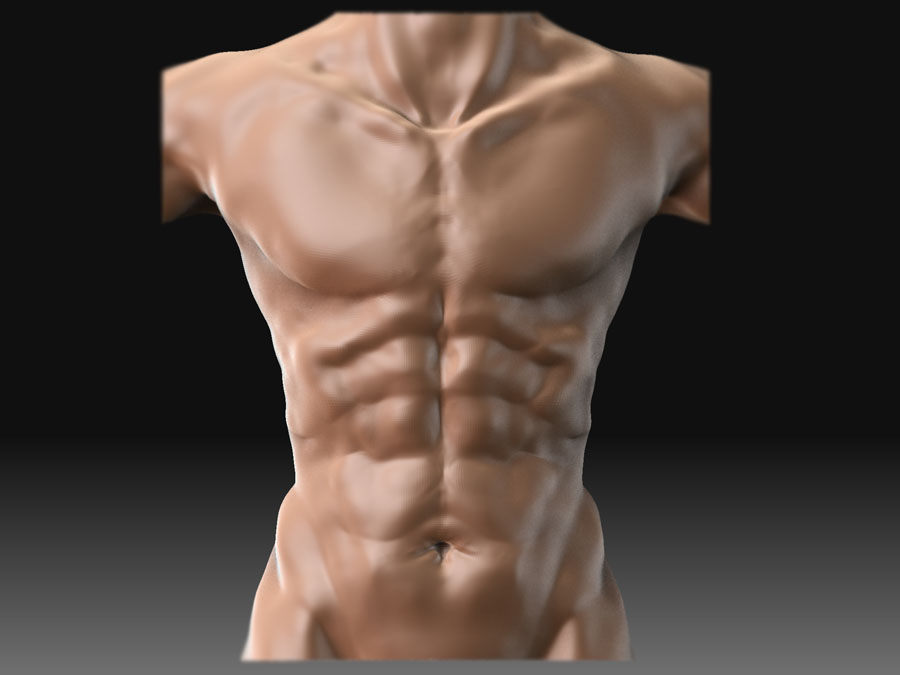 chest_1.jpg