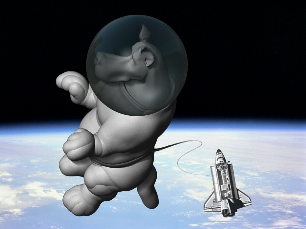 SpaceDog3.jpg