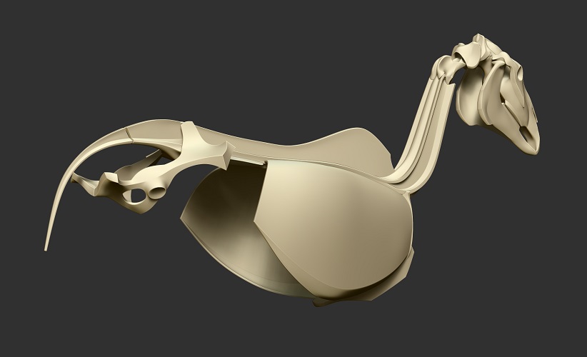 horse_skeleton04.jpg