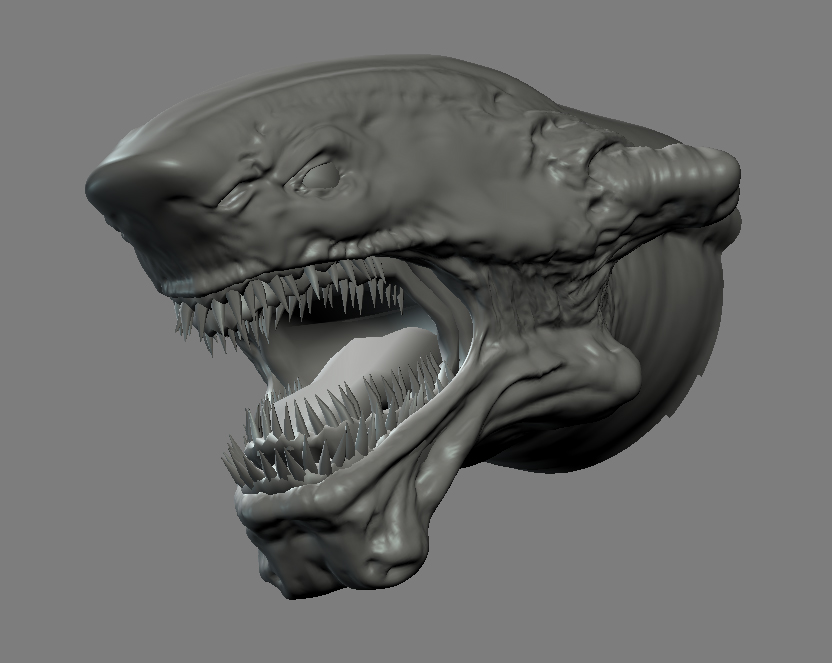 09_toothtest.jpg