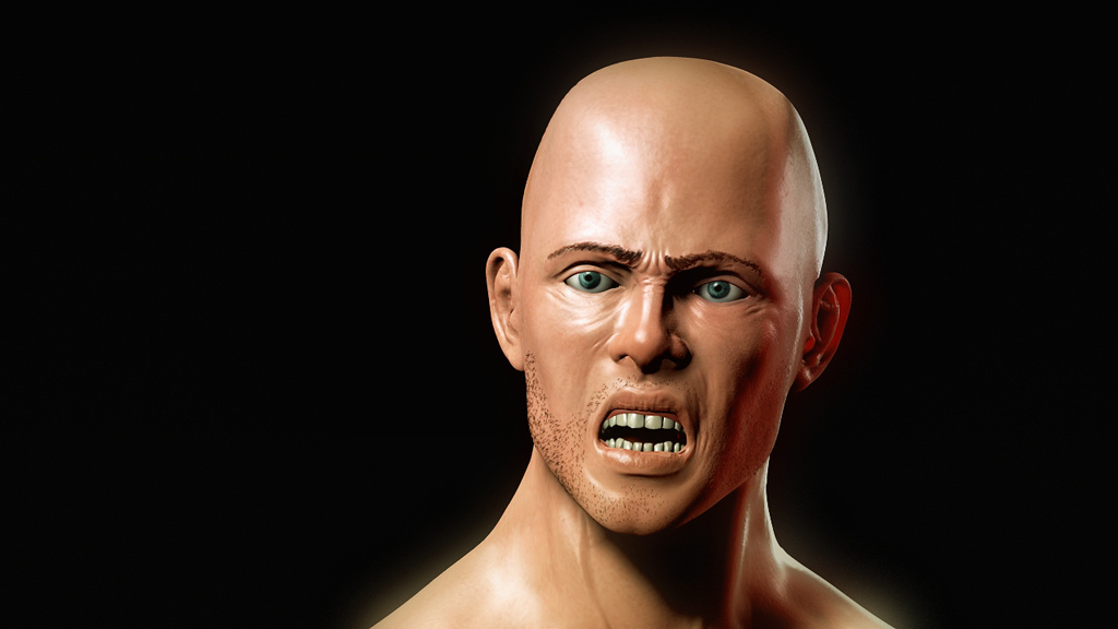 Head.jpg