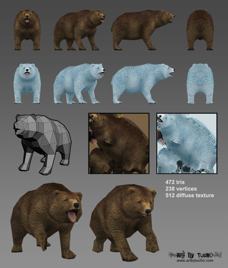 bear.jpg