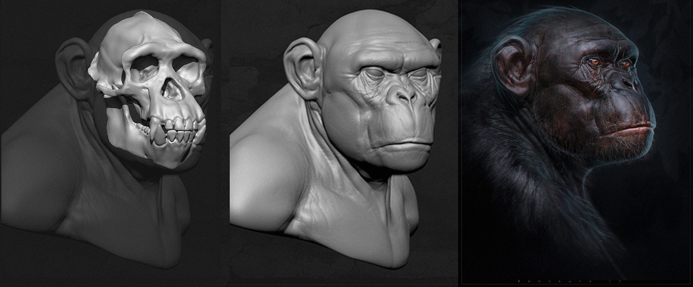 Горилла Zbrush