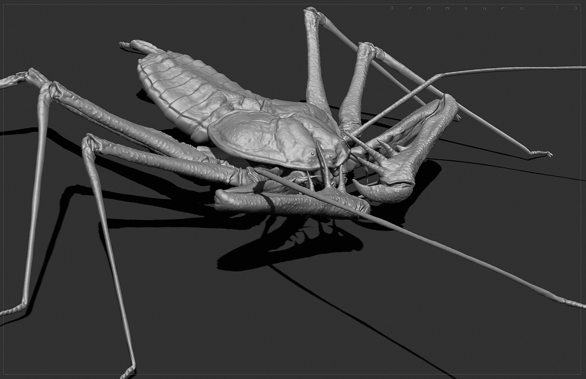 WHIP_spider_05_BM.jpg