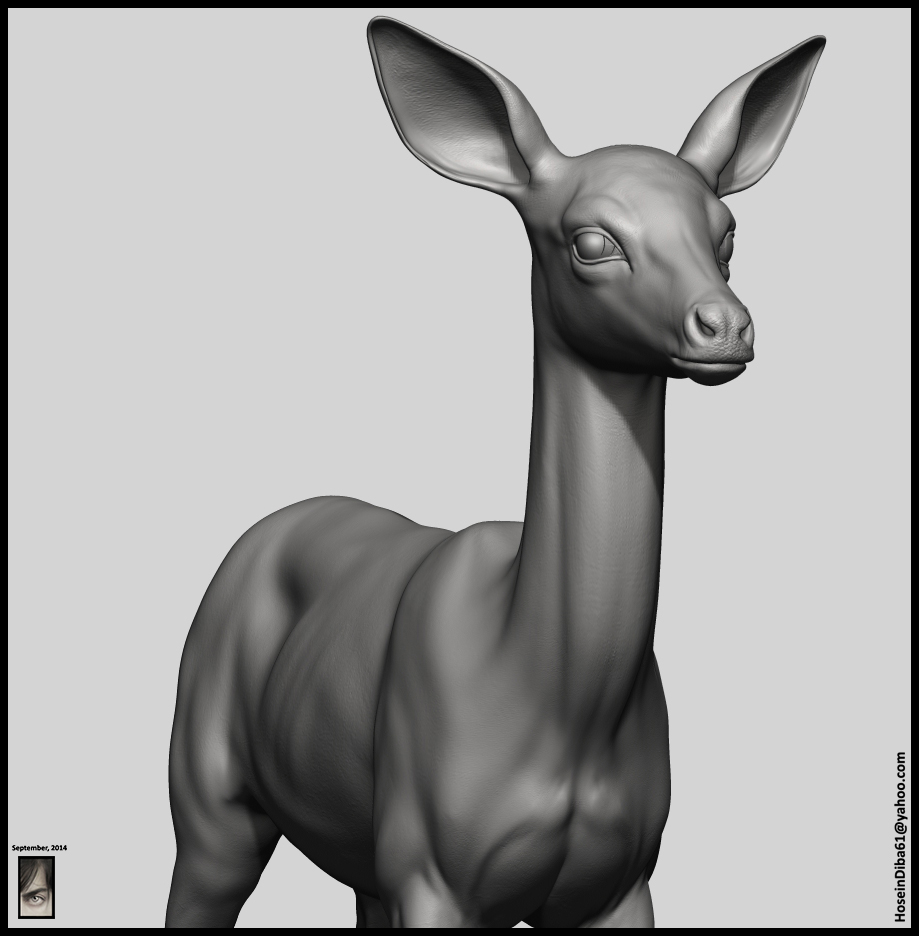 Fawn_Deer_8.jpg